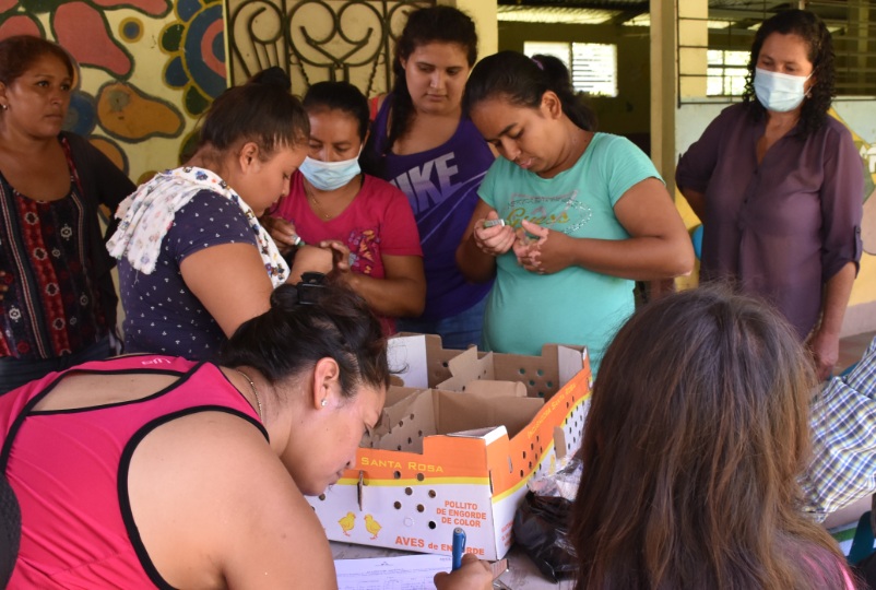 Fundación REDES, realizó la entrega de pollos  y malla para la instalación de gallineros en la comunidad La Mora de Suchitoto.