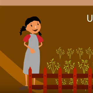 VIDEO: Agroecología, una alternativa a la agricultura convencional