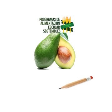 Se realiza en Brasilia el Seminario Internacional y Multisectorial   “Programas de Alimentación Escolar Sostenibles  para América Latina y El Caribe”.